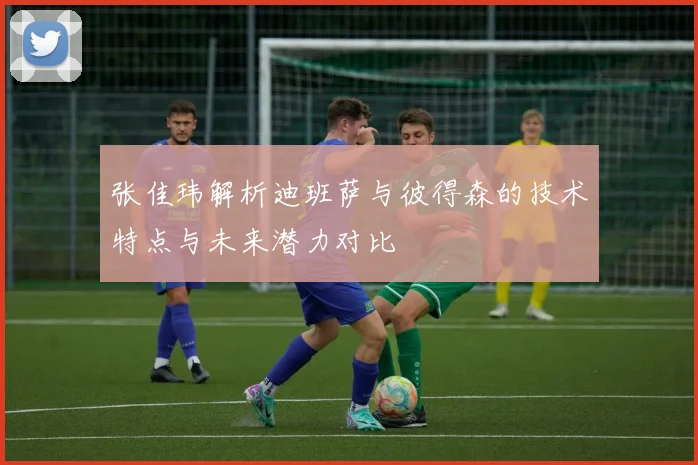 张佳玮解析迪班萨与彼得森的技术特点与未来潜力对比